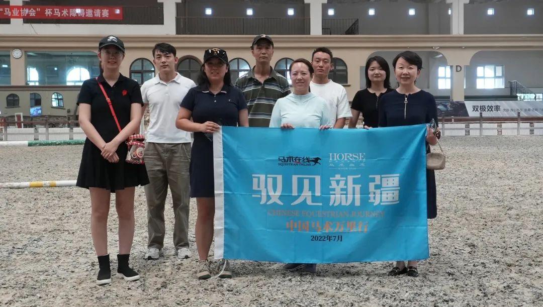 最新马匹资讯揭秘，探寻领域崭新篇章