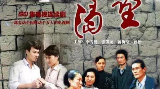 电视剧渴望剧情介绍,电视剧渴望剧情介绍，小巷中的独特风味