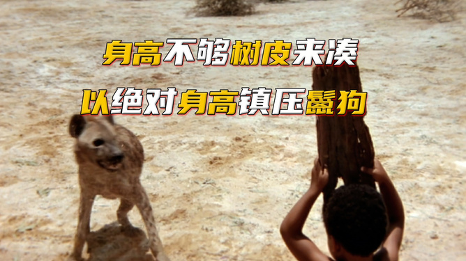 鬣狗电影，友情与陪伴的温馨之旅