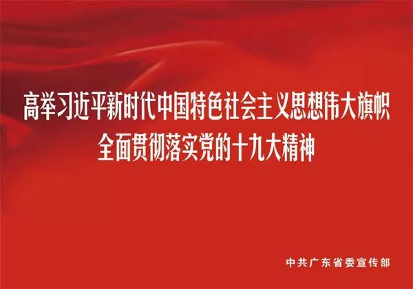 浙江盐业改革最新动态及步骤指南揭秘