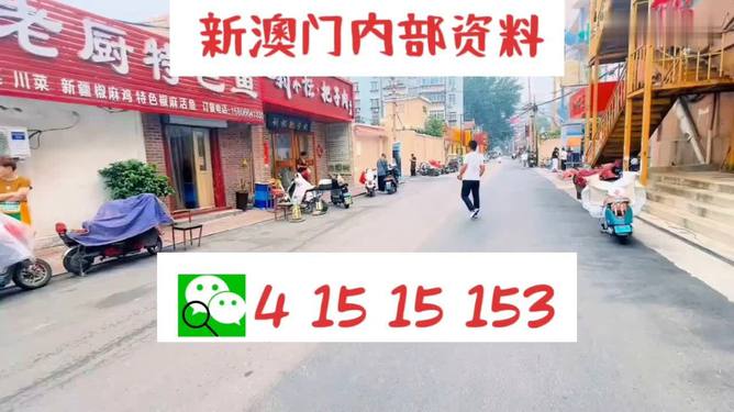 2024澳门天天开好彩大全53期,实际调研解析_轻奢版51.103