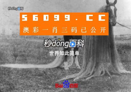 澳门一肖一码一必中一肖同舟前进,理学_感知版33.799