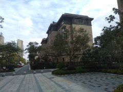 南辰濠郡最新消息全攻略，从初学者到进阶用户的获取指南